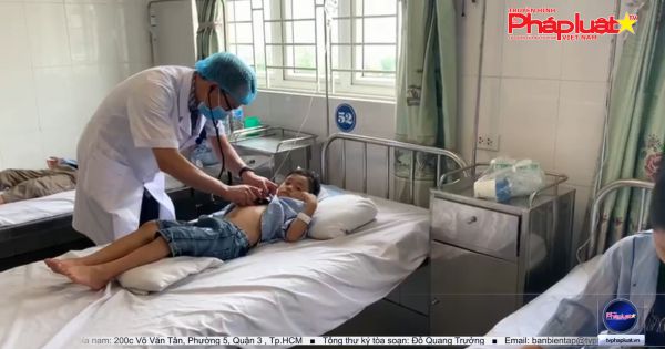 Nghệ An: Chọc phá tổ ong, 16 học sinh tiểu học phải nhập viện
