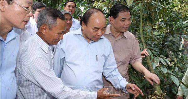 Thủ tướng Nguyễn Xuân Phúc thăm mô hình nông nghiệp 