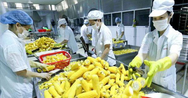 Nông sản Việt Nam vào EU tăng mạnh, cần tận dụng “cơ hội vàng”