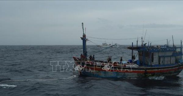 3 ngư dân trên tàu cá Bình Định đã được cứu