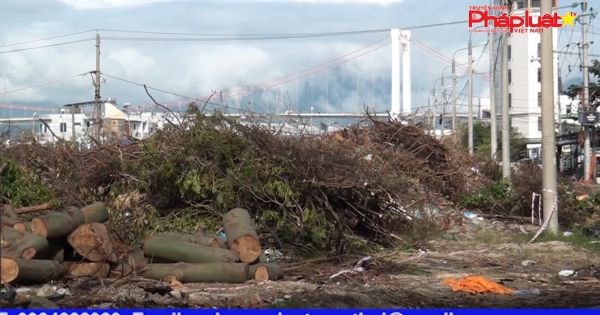 Đà Nẵng: Sau bão, bãi đất trống trong khu dân cư đông đúc biến thành bãi rác khổng lồ