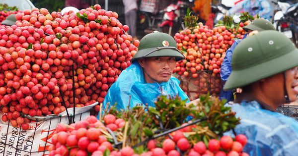 Trung Quốc không còn là thị trường xuất khẩu nông sản lớn nhất của Việt Nam