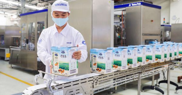 Vinamilk “mở hàng” xuất khẩu 10 container sữa sang Trung Quốc