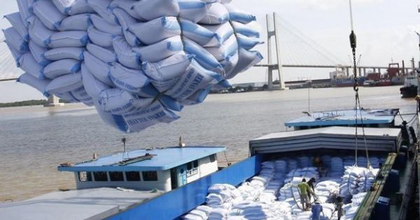 60 tấn gạo Việt Nam đầu tiên vào Anh theo UKVFTA