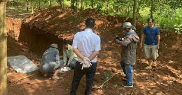 140 con lợn chết nghi do dịch bị lén lút đem chôn tại Đồng Nai
