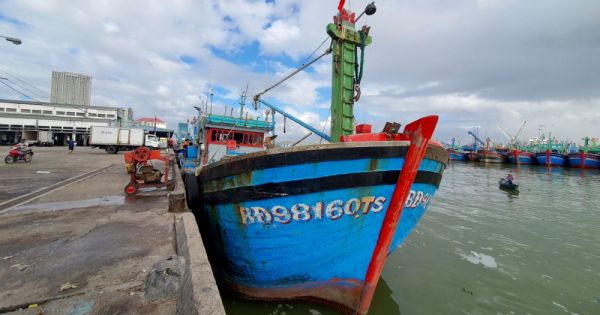 100% tàu cá tại Bình Định phải có chứng nhận An toàn thực phẩm trong tháng 6