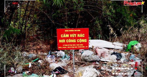 Phường Tam Bình, TP. Thủ Đức: Đầy dẫy những bãi rác tự phát gây ô nhiễm môi trường, làm xấu mỹ quan Thành phố