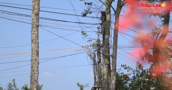 Khi nào người dân xã Bình Hiệp được sử dụng điện do Công ty Điện lực Quảng Ngãi cấp và quản lý?