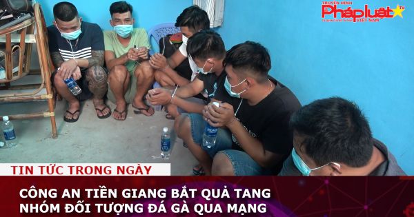 Công an Tiền Giang bắt quả tang nhóm đối tượng đá gà qua mạng