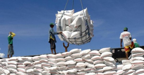 Hoả tốc lập đoàn kiểm tra 5 doanh nghiệp xuất nhập khẩu gạo