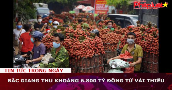 Bắc Giang: Thu khoảng 6.800 tỷ đồng từ vải thiều