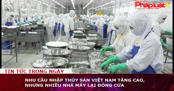 Nhu cầu nhập thủy sản Việt Nam tăng cao, nhưng nhiều nhà máy lại đóng cửa