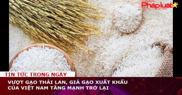 Vượt gạo Thái Lan, giá gạo xuất khẩu của Việt Nam tăng mạnh trở lại