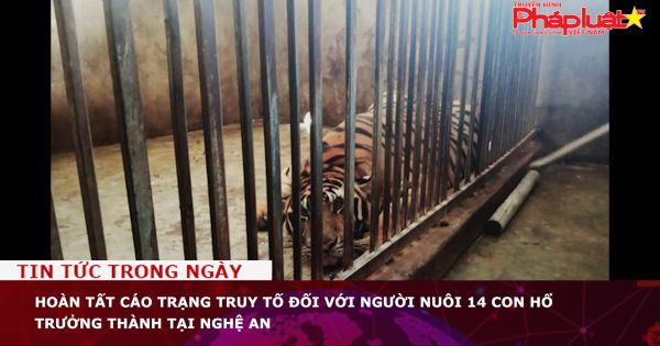 Hoàn tất cáo trạng truy tố đối với người nuôi 14 con hổ trưởng thành tại Nghệ An