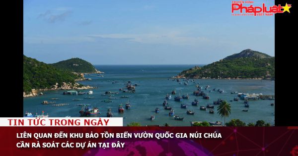 Ninh Thuận: Cần rà soát các dự án liên quan đến Khu bảo tồn biển Vườn quốc gia Núi Chúa