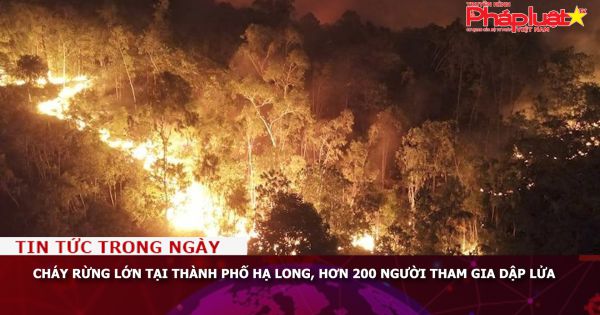 Cháy rừng lớn tại thành phố Hạ Long, hơn 200 người tham gia dập lửa
