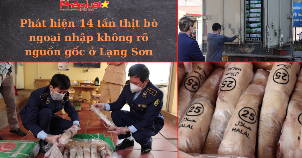 Phát hiện 14 tấn thịt bò ngoại nhập không rõ nguồn gốc ở Lạng Sơn