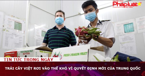 Trái cây Việt rơi vào thế khó vì quyết định mới của Trung Quốc