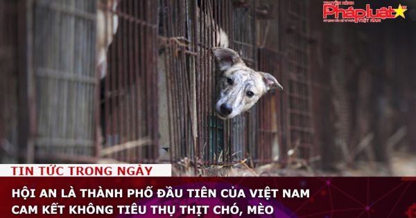 Hội An là thành phố đầu tiên của Việt Nam cam kết không tiêu thụ thịt chó, mèo
