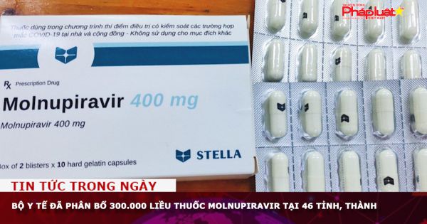Bộ Y tế đã phân bổ 300.000 liều thuốc Molnupiravir tại 46 tỉnh, thành