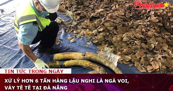 Đà Nẵng: Xử lý hơn 6 tấn hàng lậu nghi là ngà voi, vảy tê tê