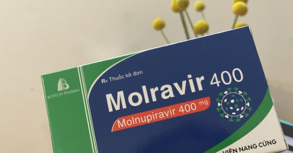 Bộ Y tế đề xuất 2 phương án: Cấp miễn phí và người dân tự mua thuốc Molnupiravir
