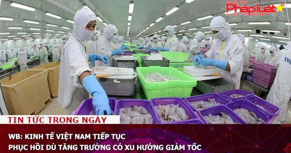 WB: Kinh tế Việt Nam tiếp tục phục hồi dù tăng trưởng có xu hướng giảm tốc