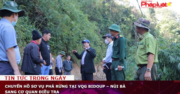 Chuyển hồ sơ vụ phá rừng tại VQG Bidoup – Núi Bà sang cơ quan điều tra