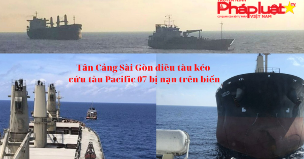 Tân Cảng Sài Gòn điều tàu kéo cứu tàu Pacific 07 bị nạn trên biển vào đất liền