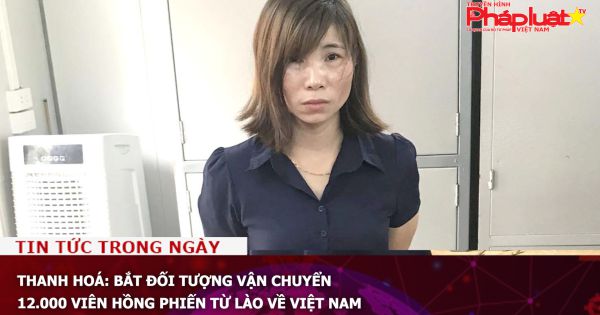 Thanh Hoá: Bắt đối tượng vận chuyển 12.000 viên hồng phiến từ Lào về Việt Nam