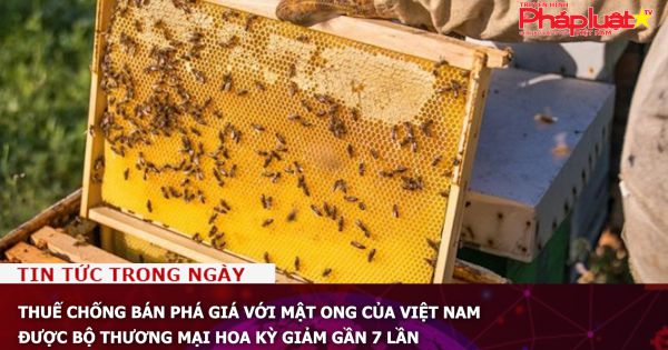 Thuế chống bán phá giá với mật ong của Việt Nam được Bộ Thương mại Hoa Kỳ giảm gần 7 lần