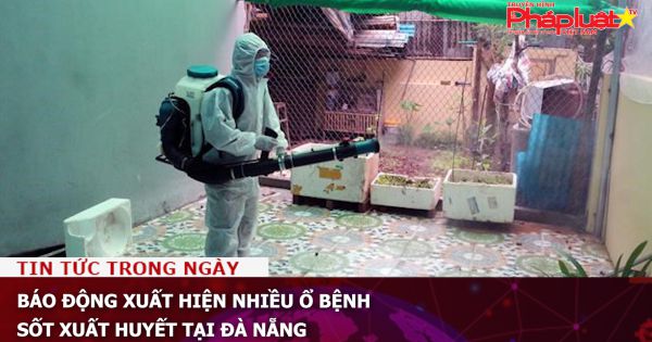 Báo động xuất hiện nhiều ổ bệnh sốt xuất huyết tại Đà Nẵng