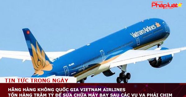 Vietnam Airlines tốn hàng trăm tỷ để sửa chữa máy bay sau các vụ va phải chim