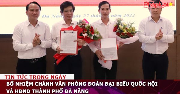 Bổ nhiệm Chánh Văn phòng Đoàn đại biểu Quốc hội và HĐND thành phố Đà Nẵng