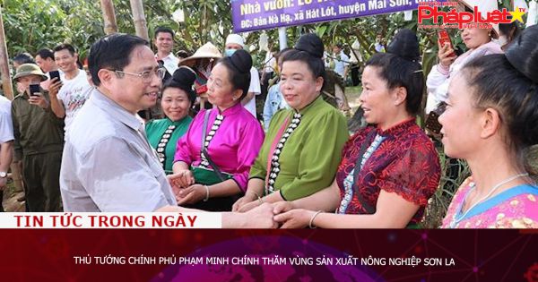 Thủ tướng Chính phủ Phạm Minh Chính thăm vùng sản xuất nông nghiệp Sơn La