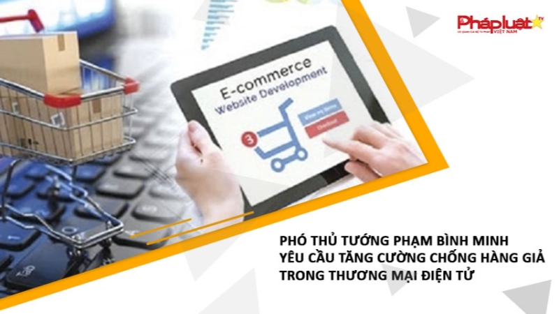 Phó Thủ tướng Phạm Bình Minh yêu cầu tăng cường chống hàng giả trong thương mại điện tử