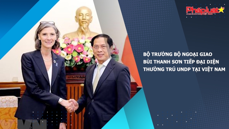 Bộ trưởng Bộ Ngoại giao Bùi Thanh Sơn tiếp Đại diện thường trú UNDP tại Việt Nam