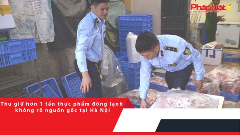 Thu giữ hơn 1 tấn thực phẩm đông lạnh không rõ nguồn gốc tại Hà Nội