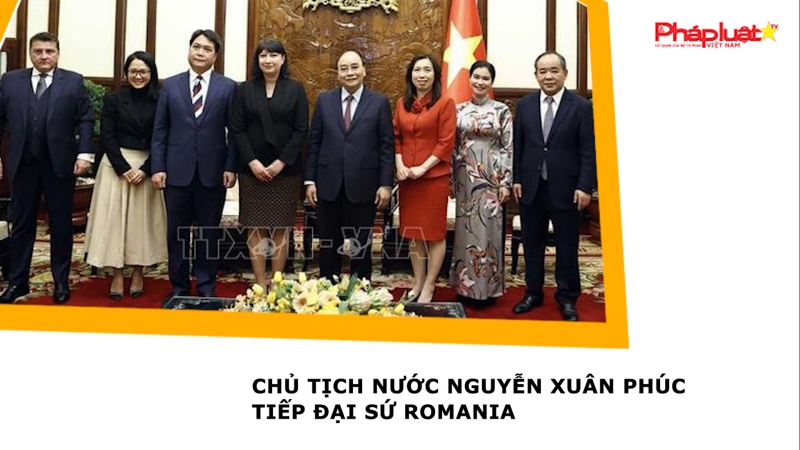 Chủ tịch nước Nguyễn Xuân Phúc tiếp Đại sứ Romania