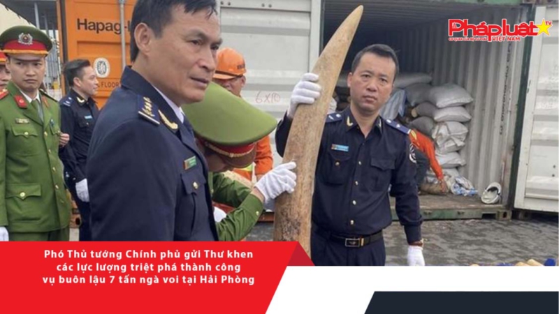 Phó Thủ tướng Chính phủ gửi Thư khen các lực lượng triệt phá thành công vụ buôn lậu 7 tấn ngà voi tại Hải Phòng