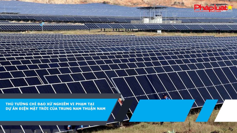 Thủ tướng chỉ đạo xử nghiêm vi phạm tại dự án điện mặt trời của Trung Nam Thuận Nam