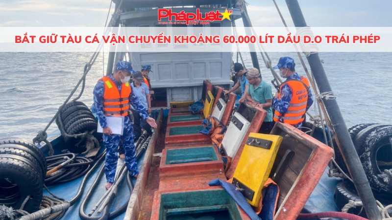 Bắt giữ tàu cá vận chuyển khoảng 60.000 lít dầu D.O trái phép
