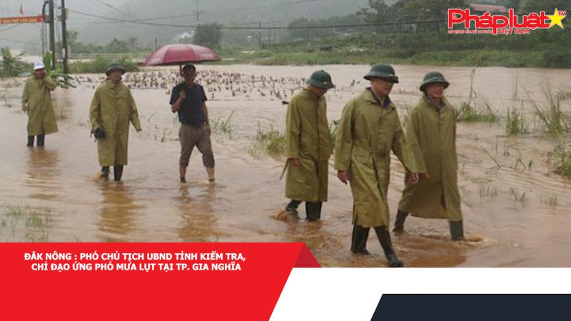 Đắk Nông: Phó Chủ tịch UBND tỉnh kiểm tra, chỉ đạo ứng phó mưa lụt tại TP. Gia Nghĩa