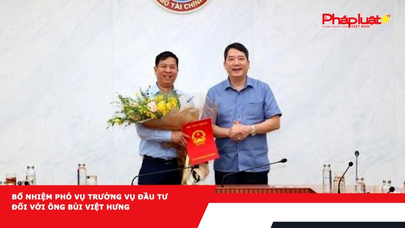 Bổ nhiệm Phó Vụ trưởng Vụ Đầu tư đối với ông Bùi Việt Hưng