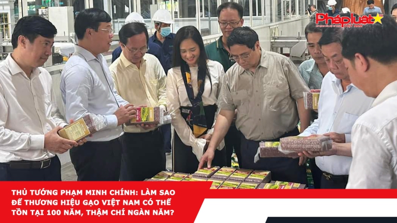 Thủ tướng Phạm Minh Chính: Làm sao để thương hiệu gạo Việt Nam có thể tồn tại 100 năm, thậm chí ngàn năm?