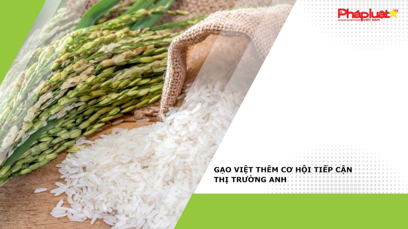 Gạo Việt thêm cơ hội tiếp cận thị trường Anh