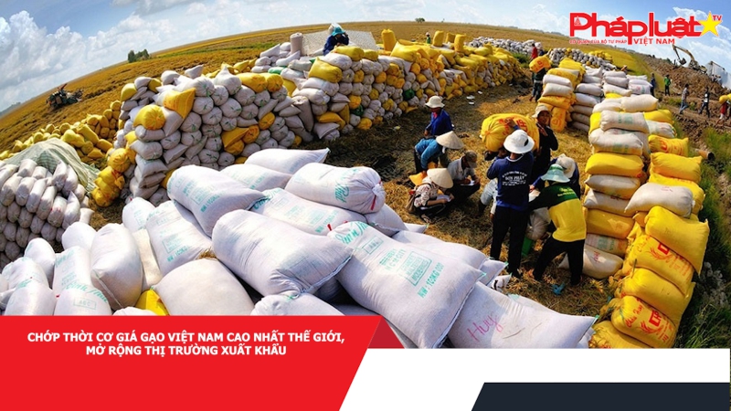 Chớp thời cơ giá gạo Việt Nam cao nhất thế giới, mở rộng thị trường xuất khẩu