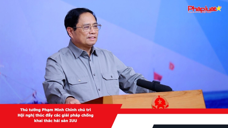 Thủ tướng Phạm Minh Chính chủ trì Hội nghị thúc đẩy các giải pháp chống khai thác hải sản IUU