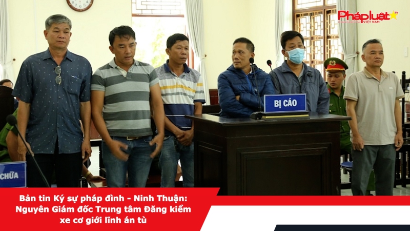 Bản tin Ký sự pháp đình - Ninh Thuận: Nguyên Giám đốc Trung tâm Đăng kiểm xe cơ giới lĩnh án tù