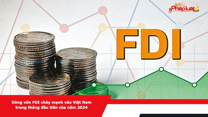 Dòng vốn FDI chảy mạnh vào Việt Nam trong tháng đầu tiên của năm 2024